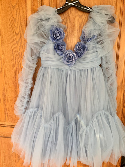 Blue Tulle Dress - Lulu