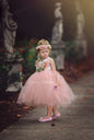 Flower Girl Tutu Dress - Rose